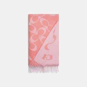 NWT Coach Scarf